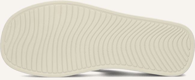 Witte STEVE MADDEN Teenslippers CARLENE Witte STEVE MADDEN Teenslippers CARLENE - large