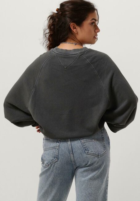 Donkergrijze TOMMY JEANS Trui TJW RLX LEO CREW - large