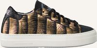 Zwarte P448 Lage sneakers THEA - medium
