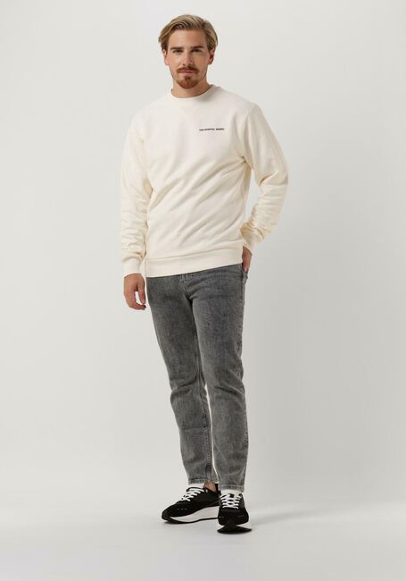 Gebroken wit COLOURFUL REBEL Sweater CLRFL RBL BACK PRINT BASIC SWEAT - large