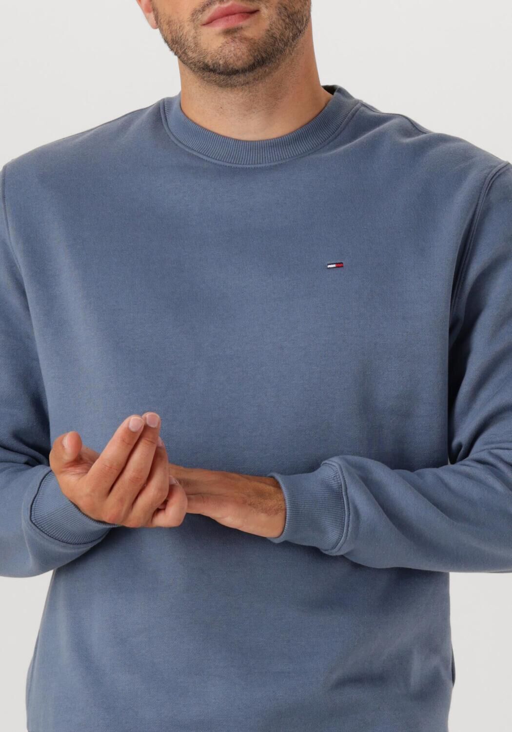 TOMMY JEANS Heren Truien & Vesten Tjm Reg S Flag Crew Ext Blauw