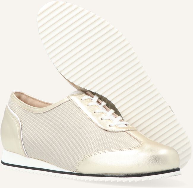 Witte HASSIA Lage sneakers PIACENZA 1658 Witte HASSIA Lage sneakers PIACENZA 1658 - large