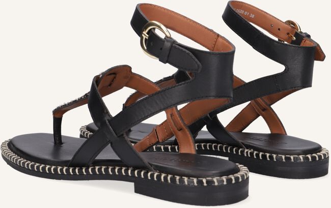 Zwarte MARUTI Platte sandalen AZIZA Zwarte MARUTI Platte sandalen AZIZA - large