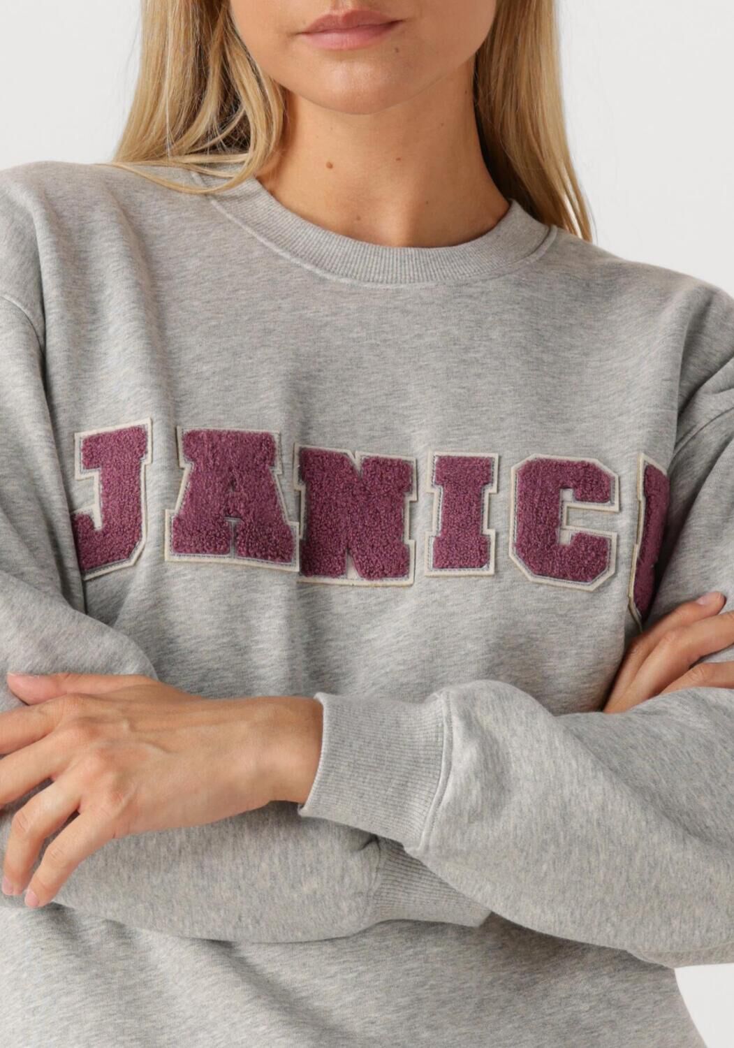 JANICE Dames Truien & Vesten Andy Grijs