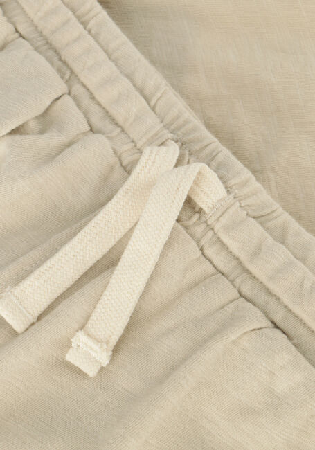 Beige RYLEE + CRU Korte broek SAM SHORT DOVE - large