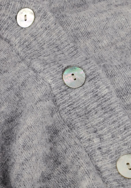 Grijze MSCH COPENHAGEN Vest MSCHPETRINELLE HOPE CARDIGAN Grijze MSCH COPENHAGEN Vest MSCHPETRINELLE HOPE CARDIGAN - large