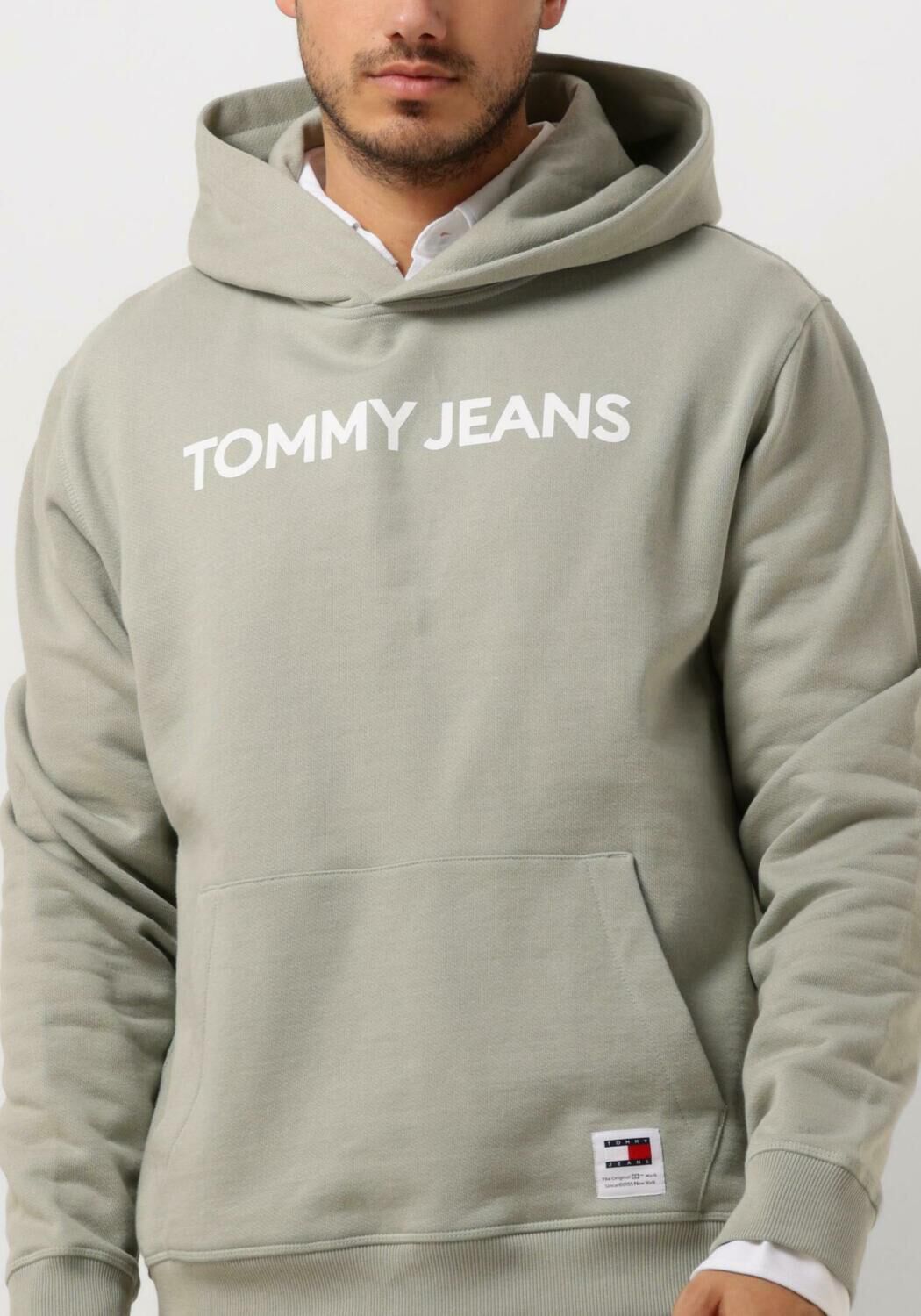 TOMMY JEANS Heren Truien & Vesten Tjm Reg Bold Classics Hoodie Ext Groen
