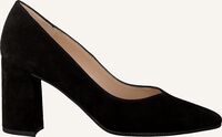 Zwarte PETER KAISER Pumps LYNSEY - medium