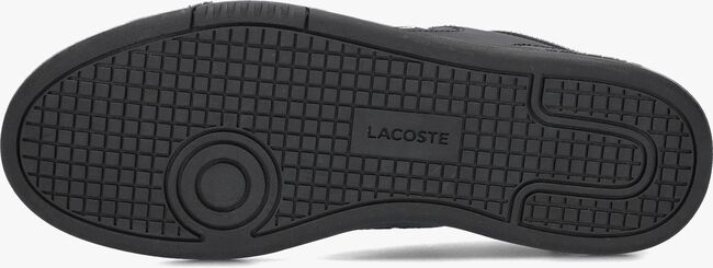 Zwarte LACOSTE Lage sneakers LINESHET - large
