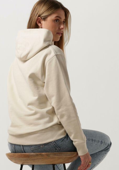 Beige TOMMY JEANS Trui TJW RLX SMALL CLASSIC HOODIE EXT - large