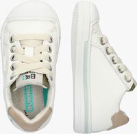 Witte BUNNIESJR Lage sneakers FENN FIRM - medium