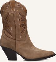 TORAL 12371 - medium