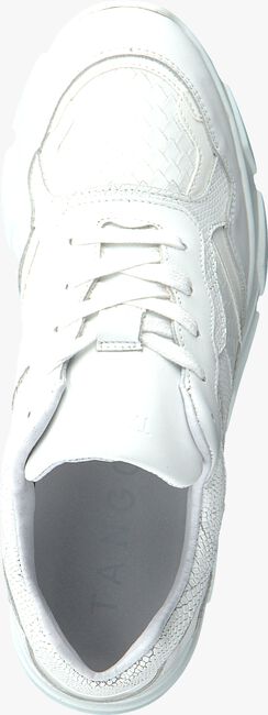 Witte TANGO Lage sneakers KADY - large