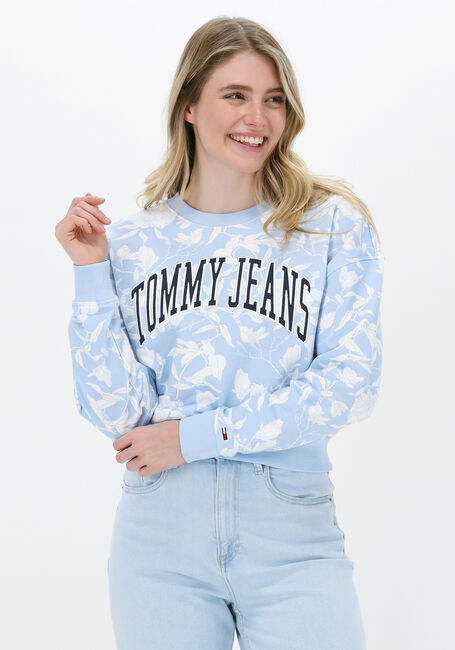 Lichtblauwe TOMMY JEANS Trui TJW AOP CREW - large