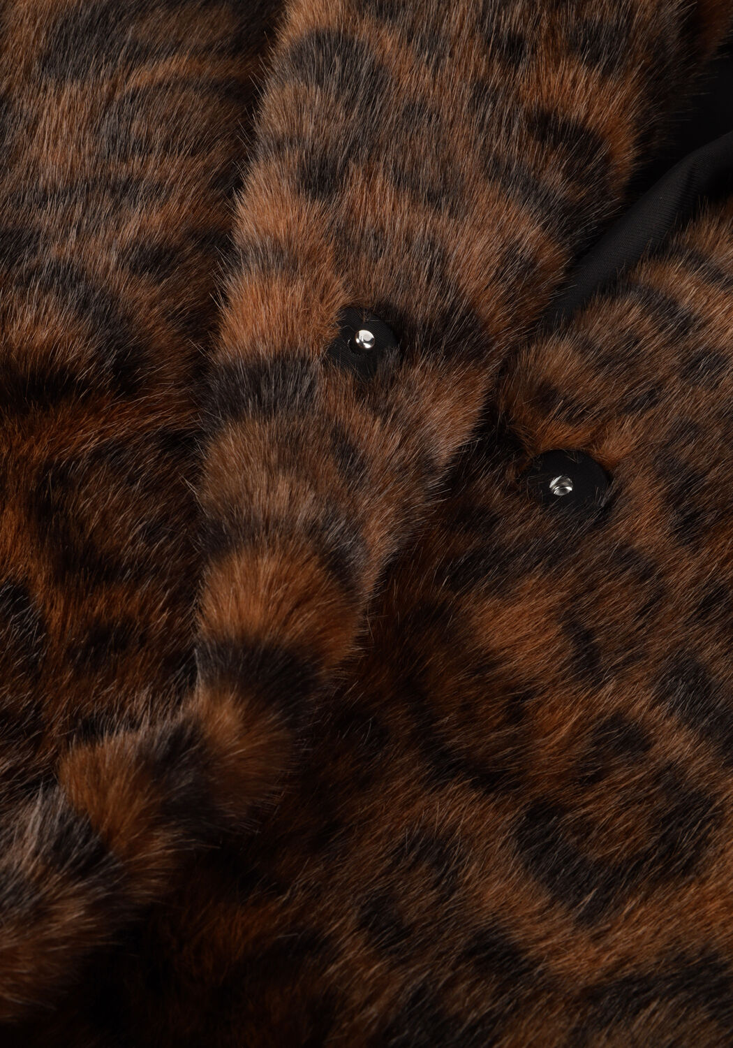 Bruine NEO NOIR Jack MELODIE LEO FAUX FUR JACKETDAM - large