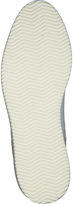 nubikk noah velcro