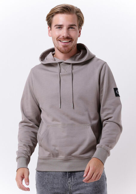 Taupe CALVIN KLEIN Sweater MONOLOGO SLEEVE BADGE HOODIE - large