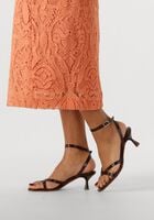 Bruine STEFANO LAURAN Hakken 25086