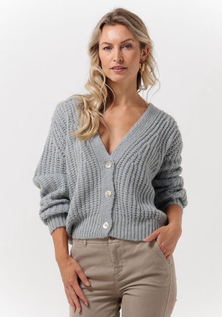 Blauwe BY-BAR Vest KATY CARDIGAN - large