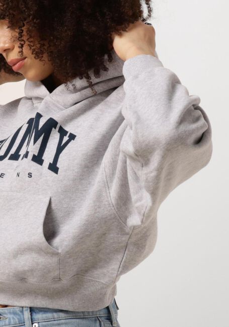 Lichtgrijze TOMMY JEANS Trui TJW VTG VARSITY 1 HOODIE - large