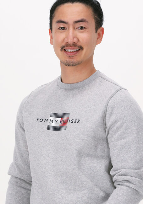 Lichtgrijze TOMMY HILFIGER Sweater LINES HILFIGER CREWNECK - large