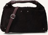 NÚNOO DANDY DELUXE - medium