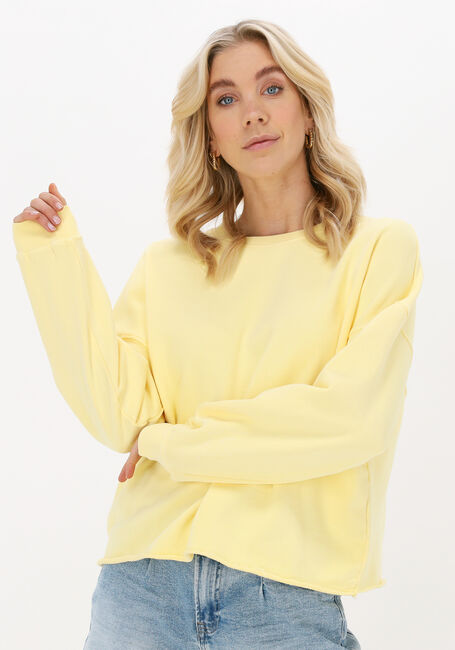 Gele CIRCLE OF Sweater FENNA Omoda