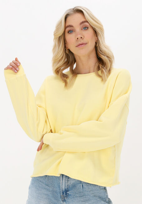 knal Antipoison Uitgraving Gele CIRCLE OF TRUST Sweater FENNA SWEAT | Omoda