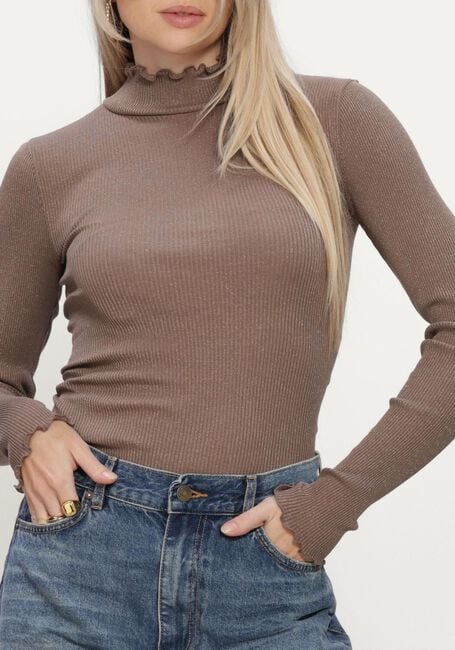 Bruine ROSEMUNDE Top BOSTON TURTLENECK W/ LUREX - large