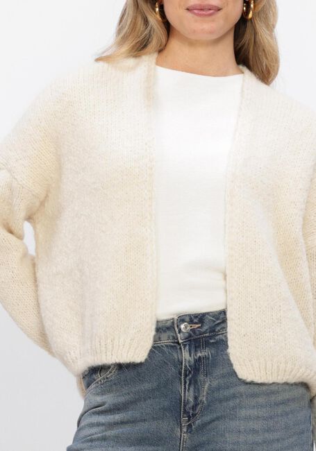 Gebroken wit KNIT-TED Vest BECKY - large