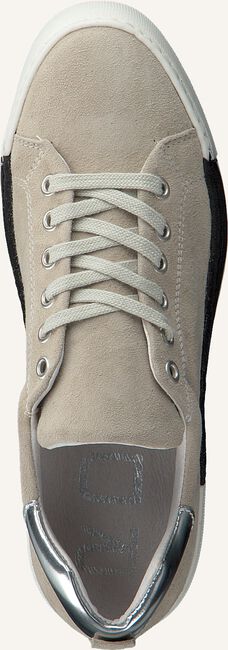 Beige ROBERTO D'ANGELO Lage sneakers BREST Beige ROBERTO D'ANGELO Lage sneakers BREST - large