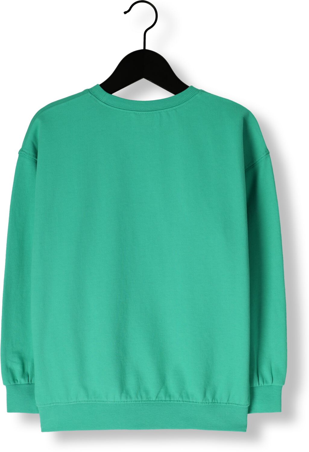 Jelly Mallow Jongens Truien & Vesten Lion Sweatshirt Groen