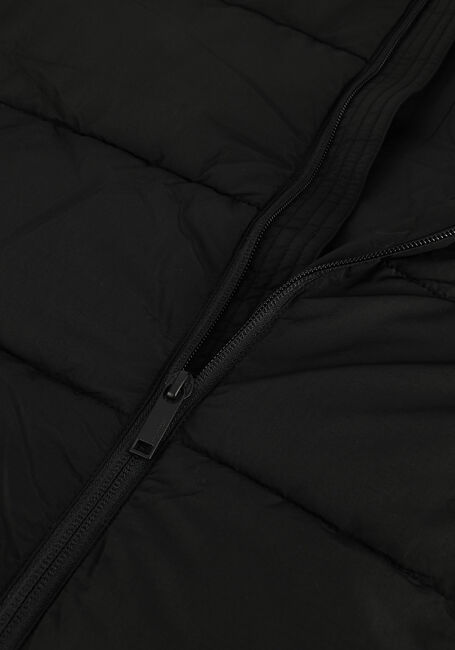 Zwarte SELECTED HOMME Gewatteerde jas HARRY PUFFER JKT W - large