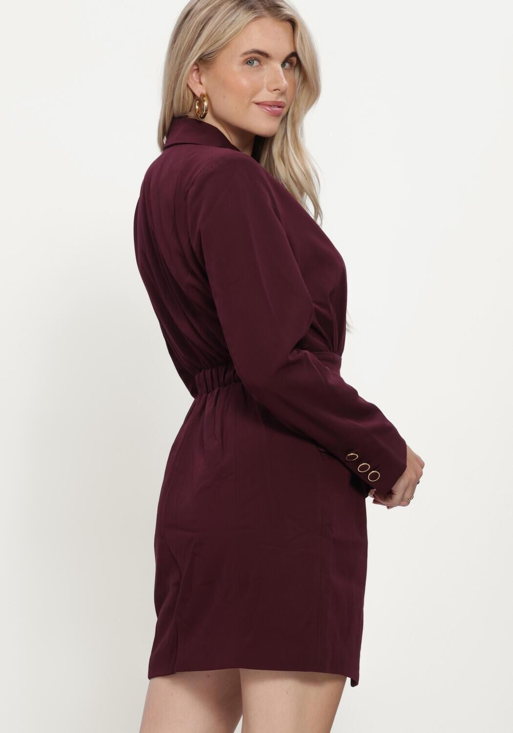 Bordeaux FREEBIRD Mini jurk BLAZORA - large