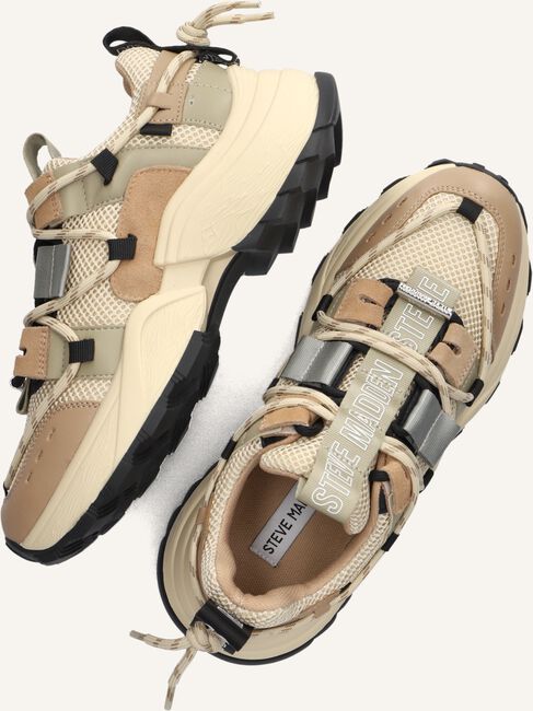 Groene STEVE MADDEN Lage sneakers TAZMANIA Groene STEVE MADDEN Lage sneakers TAZMANIA - large