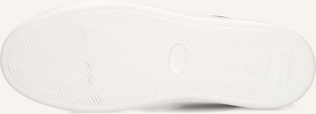 Taupe STEFANO LAURAN Lage sneakers STAR 006 Taupe STEFANO LAURAN Lage sneakers STAR 006 - large