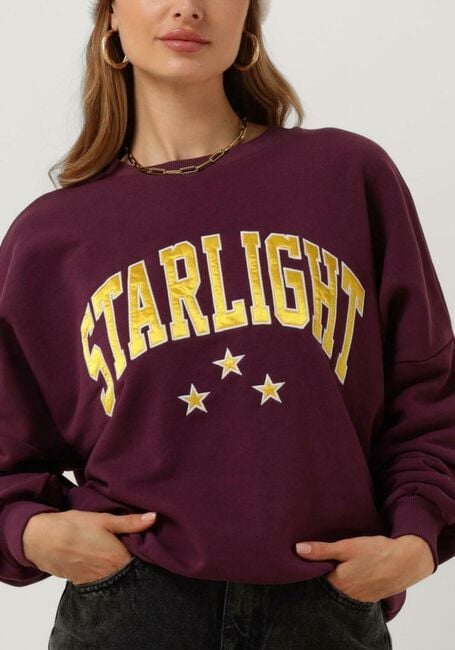 Bordeaux COLOURFUL REBEL Trui STARLIGHT PATCH DROPPED SHOULDER SWEAT - large