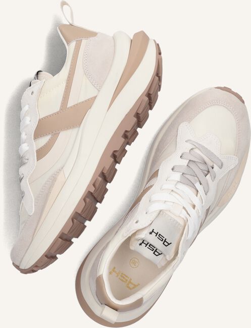 Beige ASH Lage sneakers SPIDER Beige ASH Lage sneakers SPIDER - large