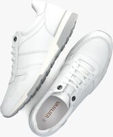 Witte VAN LIER Lage sneakers 2415510 - medium