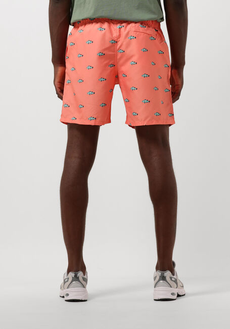 Oranje SHIWI Zwembroeken MEN SWIMSHORT CLOWNFISH - large
