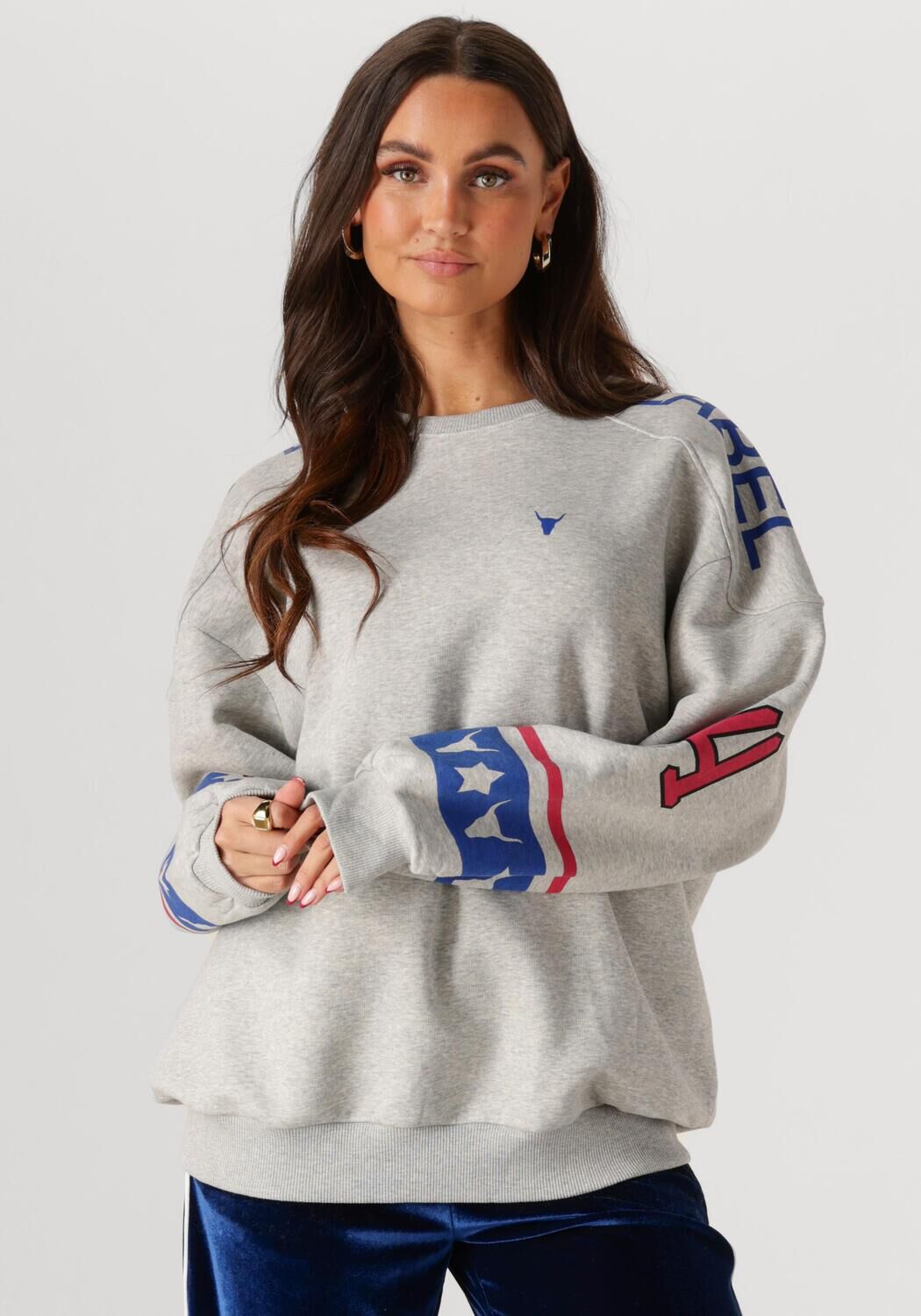 ALIX THE LABEL Dames Truien & Vesten Ladies Knitted Sports Sweater Grijs
