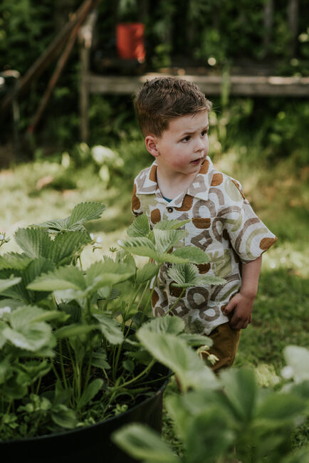 Bruine KOKO NOKO T-shirt N58800 - large