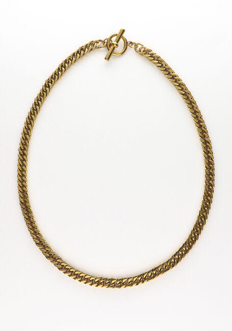 Goudkleurig NOTRE-V Kettingen KETTING GROVE SCHAKEL - large