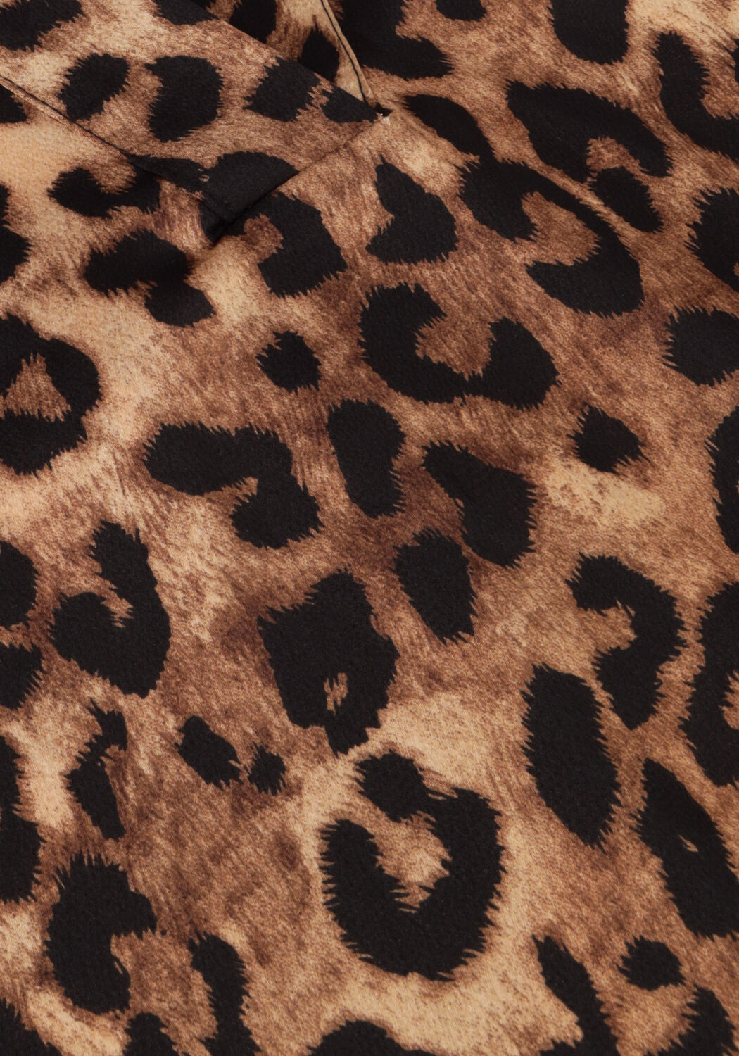 Bruine NEO NOIR Blouses ROELLA LEO BLOUSE - large