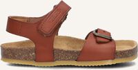 Cognac DEVELAB Sandalen 49003 - medium