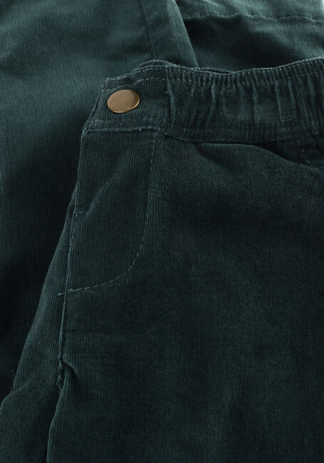 Donkergroene MR.LOUTRE Pantalon WILLIAM - large