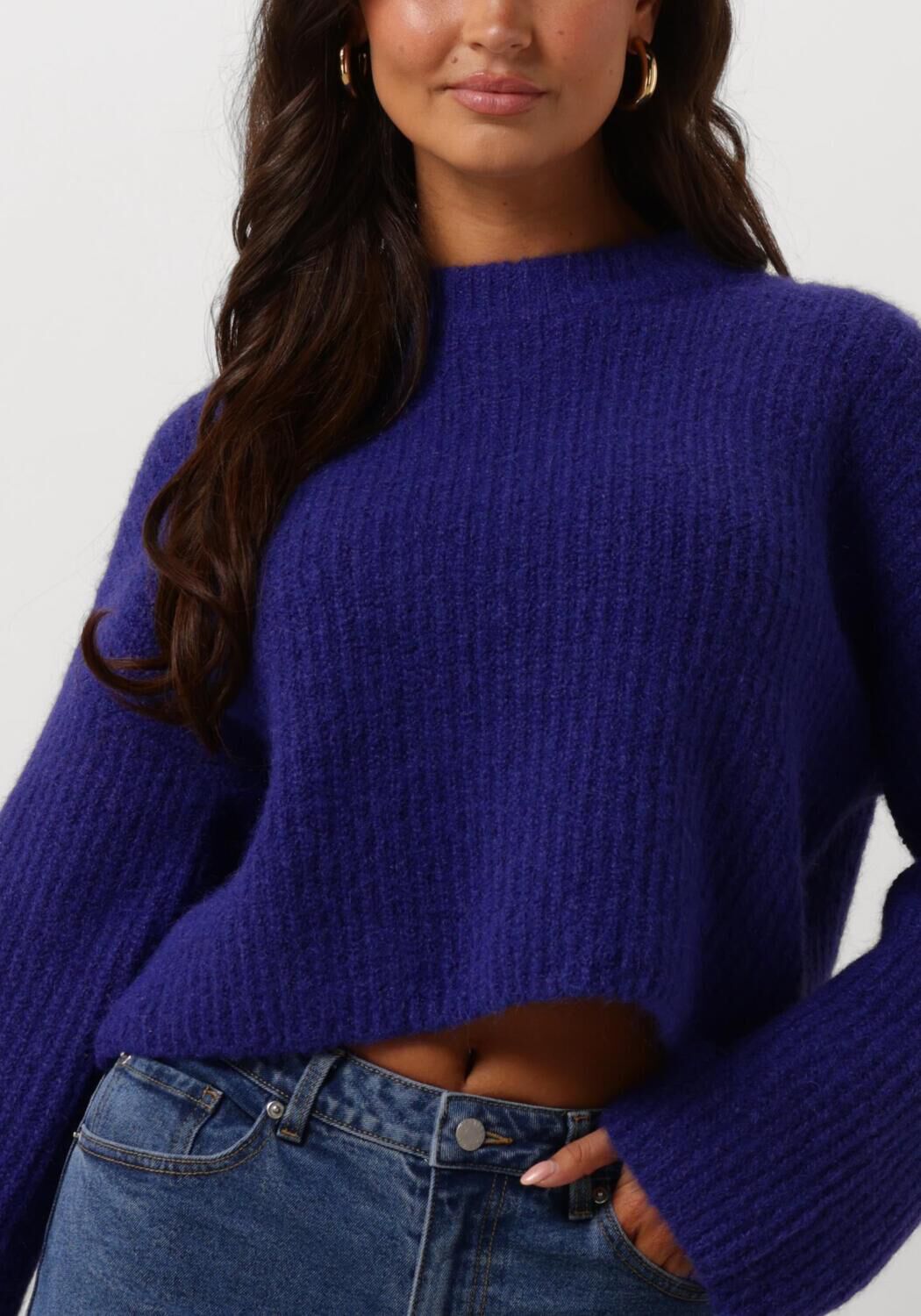 EDITED Dames Truien & Vesten Salome Jumper Blauw