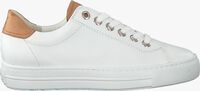 Witte PAUL GREEN Lage sneakers 4741  - medium