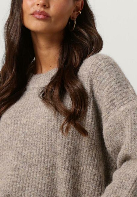 Grijze CIRCLE OF TRUST Trui LIVIA KNIT - large