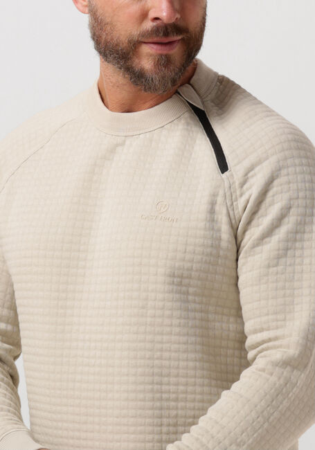 Beige CAST IRON Trui LONG SLEEVE R-NECK JACQUARD WAFFLE COTTON BLEND - large